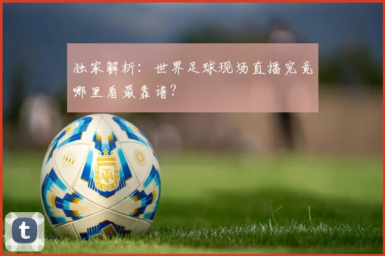 独家解析:世界足球现场直播究竟哪里看最靠谱?