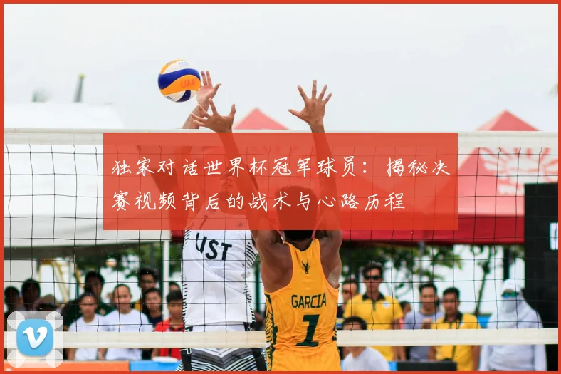 独家对话世界杯冠军球员:揭秘决赛视频背后的战术与心路历程